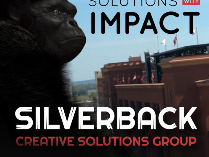 Silverback Promotion